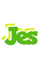 Jes picnic logo