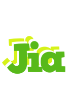 Jia picnic logo