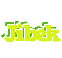 Jibek citrus logo