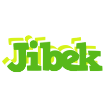 Jibek picnic logo