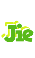 Jie picnic logo