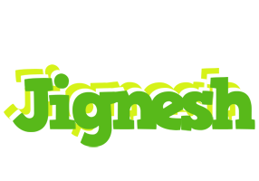 Jignesh picnic logo