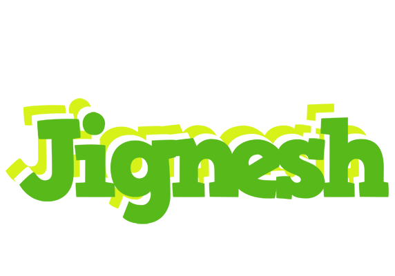 Jignesh picnic logo