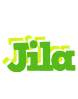 Jila picnic logo