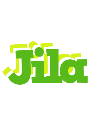 Jila picnic logo