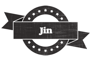 Jin grunge logo