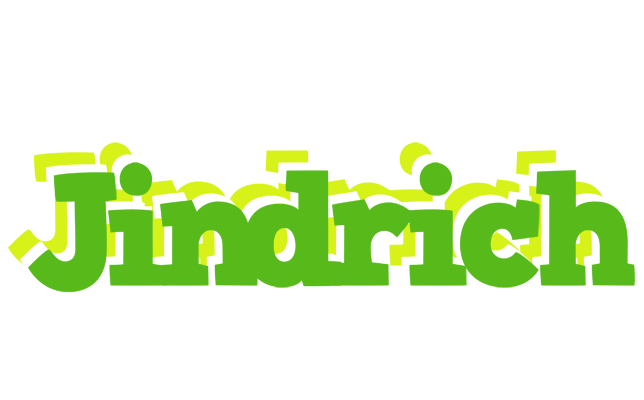 Jindrich picnic logo