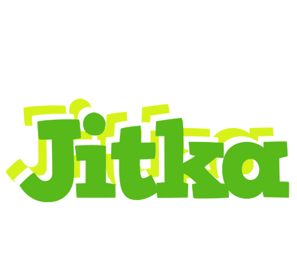 Jitka picnic logo