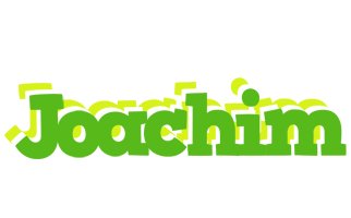 Joachim picnic logo