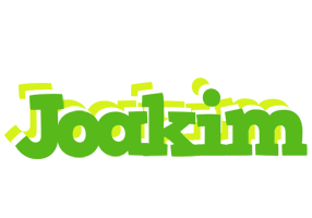 Joakim picnic logo