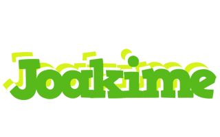 Joakime picnic logo