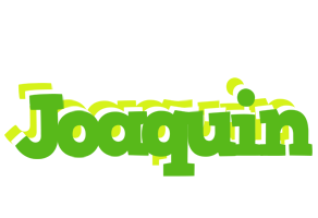 Joaquin picnic logo