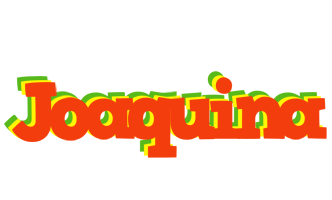 Joaquina bbq logo