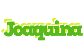 Joaquina picnic logo