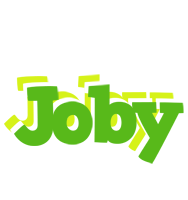 Joby picnic logo