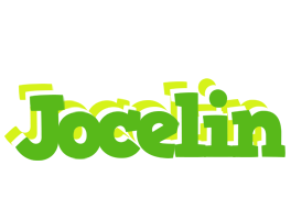 Jocelin picnic logo