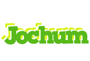 Jochum picnic logo