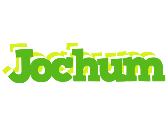 Jochum picnic logo