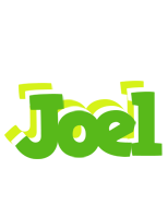 Joel picnic logo