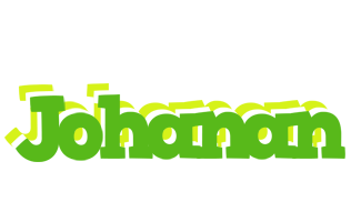 Johanan picnic logo