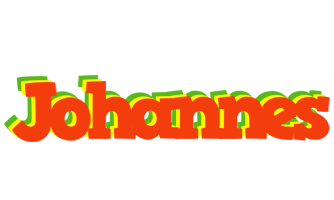 Johannes bbq logo