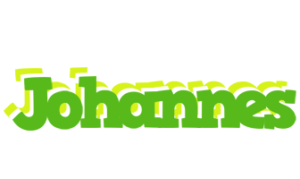 Johannes picnic logo