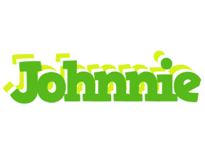 Johnnie picnic logo