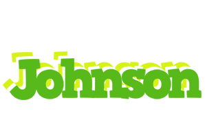 Johnson picnic logo