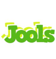 Jools picnic logo