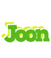 Joon picnic logo