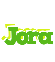 Jora picnic logo