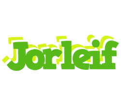 Jorleif picnic logo