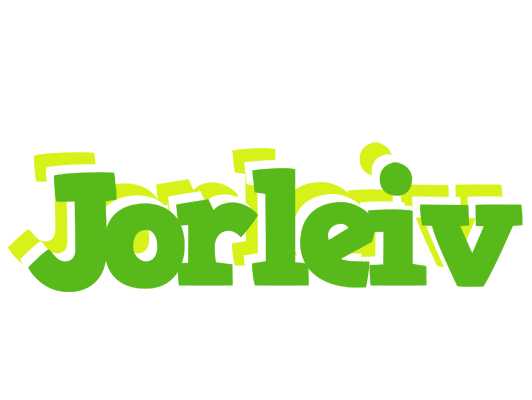 Jorleiv picnic logo