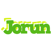 Jorun picnic logo