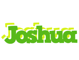 Joshua picnic logo