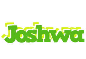 Joshwa picnic logo