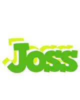 Joss picnic logo