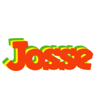 Josse bbq logo