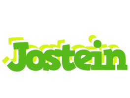 Jostein picnic logo