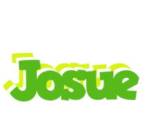 Josue picnic logo