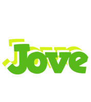 Jove picnic logo