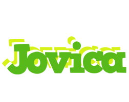 Jovica picnic logo