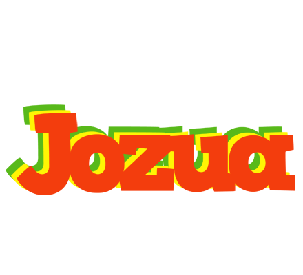 Jozua bbq logo