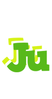 Ju picnic logo