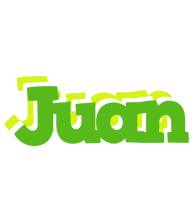 Juan picnic logo
