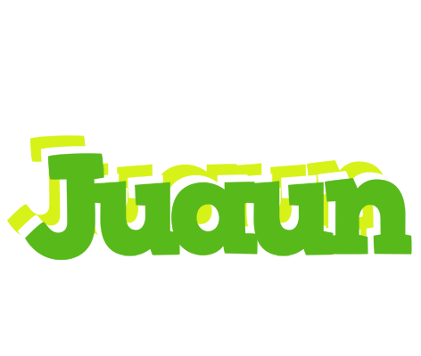 Juaun picnic logo