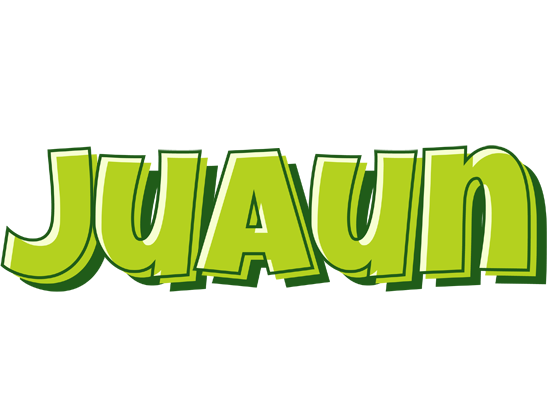 Juaun summer logo