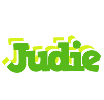 Judie picnic logo