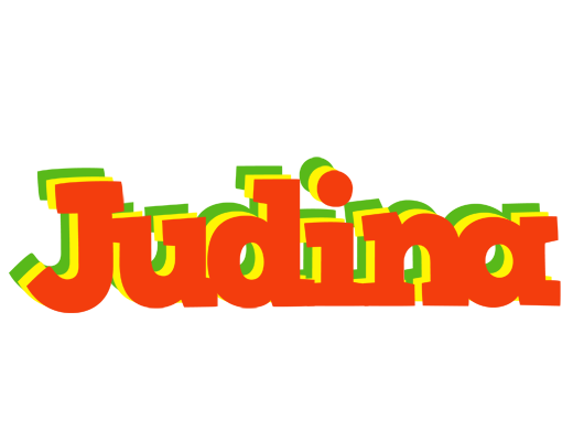 Judina bbq logo