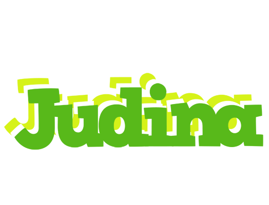Judina picnic logo
